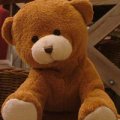История появления плюшевого медвежонка Тедди